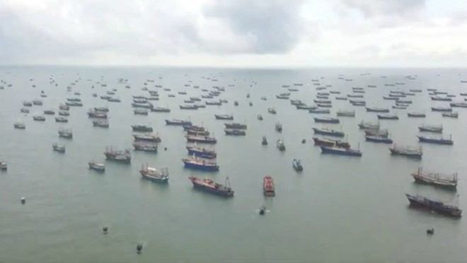 Chinese fishing vessels pose possible threats to seafood resources in Bien Dong Sea 1619 7